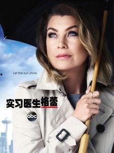 实习医生格蕾 第十二季,挑战与成长，告别与新生