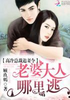 高冷总裁的追妻攻略,冰山总裁的甜蜜追妻记