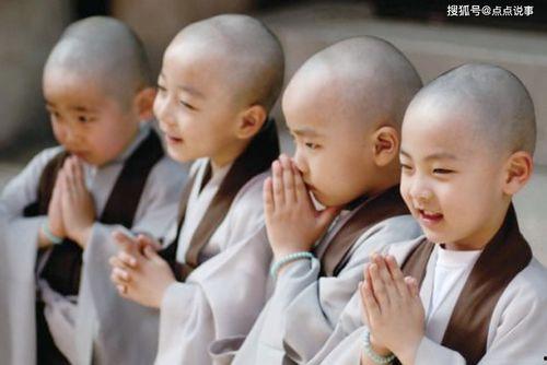 团团转,探寻青春活力与梦想的旋转之旅