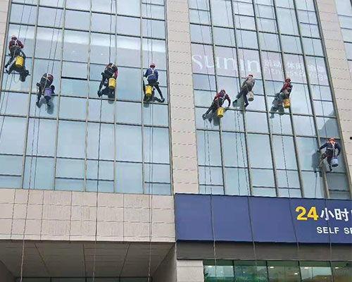 龙御四海,探寻神秘龙族传奇的奇幻之旅